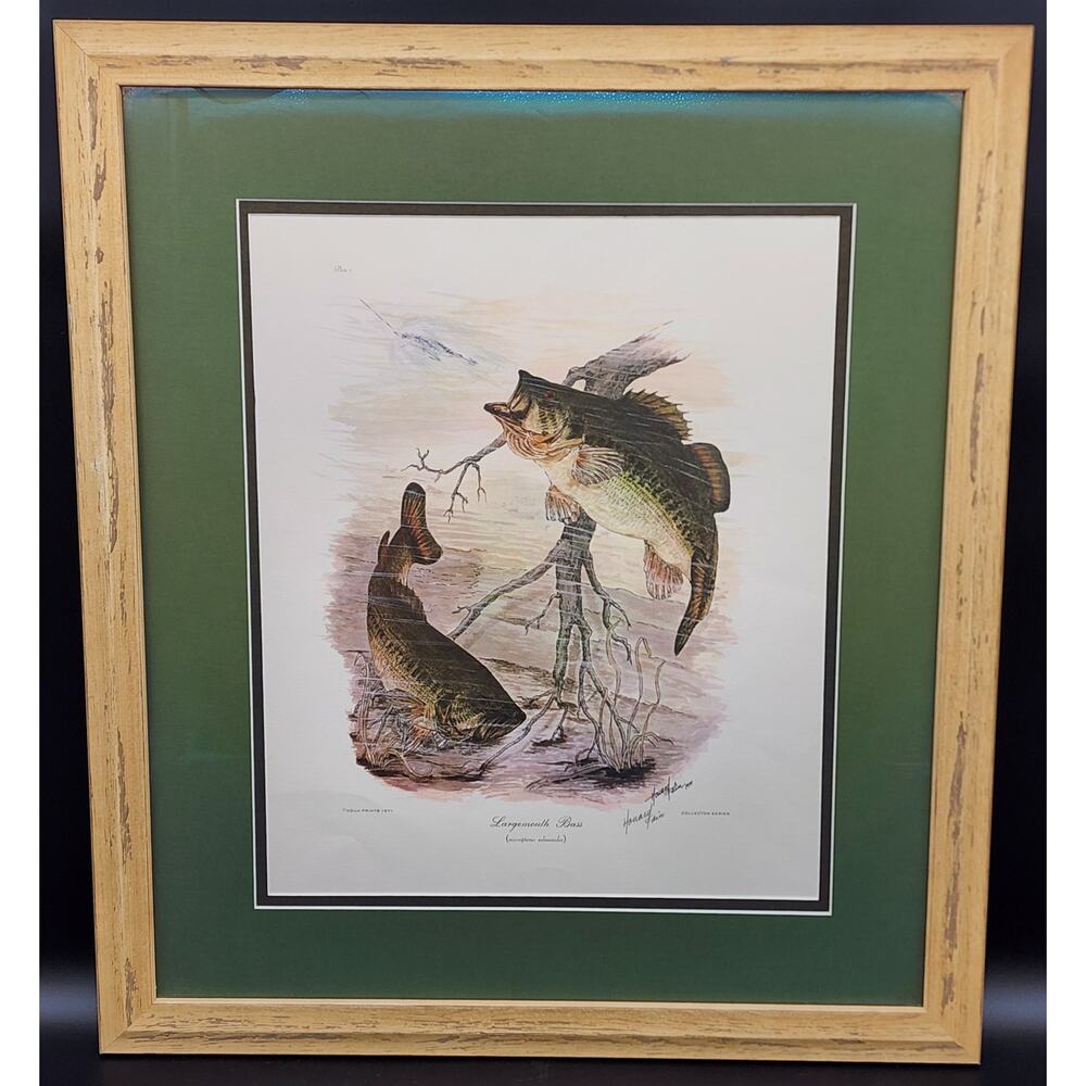 1991 Largemouth Bass Lithograph by Howard Fain Framed w/ COA 25x29 Vintage- Rare